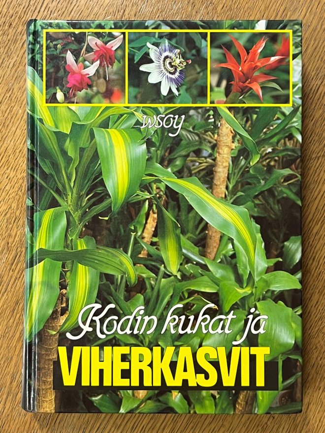 Kauppinen - Kodin kukat ja viherkasvit