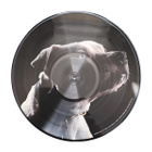 Roger Waters – The Dark Side Of The Moon (PICTURE DISC LP) - pikkukuva 5