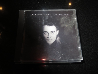 Andrew Ridgeley Son Of Albert