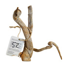 Uniikki akvaariojuurakko 15 cm | nr52 - pikkukuva 5