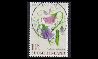 1891 o Hajuherne loisto Oulu 16.6.09 (2008)