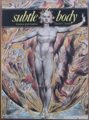 David V. Tansley: Subtle Body - Essence and Shadow. 96 s.
