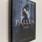 Lauren Kate : Fallen - pikkukuva 1
