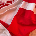 Valtteri Filppula - Game Worn - pelipaita Detroit Red Wings - pikkukuva 4