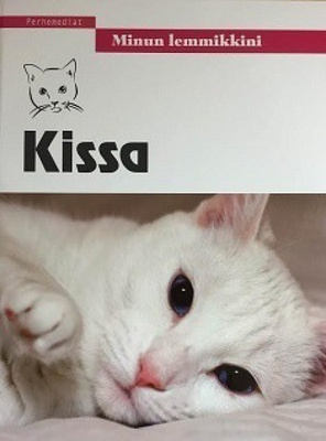 Kissa, uusi, sis. pk