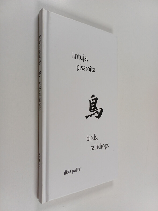 Ilkka Pollari : Lintuja, pisaroita = Birds, raindrops