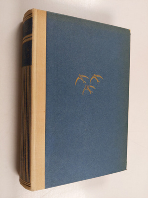 Erich Maria Remarque : Vrakgods