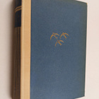 Erich Maria Remarque : Vrakgods - pikkukuva 1