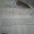 LINTUPÄIVÄKIRJAT DICK FORSMAN - pikkukuva 3