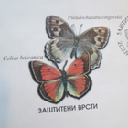 FDC Makedonia 1996: perhosia - pikkukuva 4