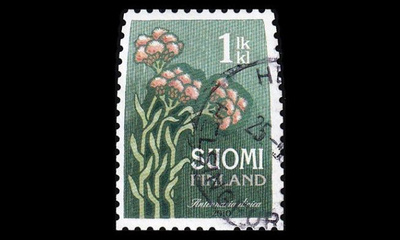 1996 o Kissankäpälä (2010)