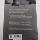 Henna Helmi Heinonen : Pala omaa taivasta - pikkukuva 2