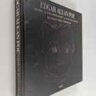 Edgar Allan Poe : Korppi ja kultakuoriainen ja muita kert... - pikkukuva 1