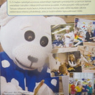 Ti-Ti Nalle paketti: neljä levyä 4DVD - pikkukuva 2