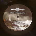 Black Bonzo – Sound Of The Apocalypse (Swedish prog-rock) - pikkukuva 4