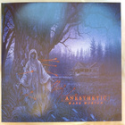 Mark Morton Anesthetic LP - pikkukuva 1