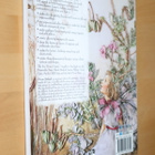 Van Niekerk : Cicely Mary Barker's Flower Fairies in Ribbon - pikkukuva 2