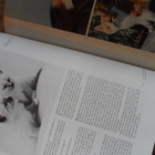 International Encyclopedia of Cats v.1980 Kuin uusi - pikkukuva 5