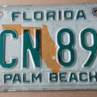 FLORIDA USA rekisterikilpi - pikkukuva 1