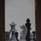 Gligoric & Wade: The World Championship - pikkukuva 2