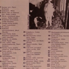 Pellervo N:o 10 kesäkuu 1981 - pikkukuva 2
