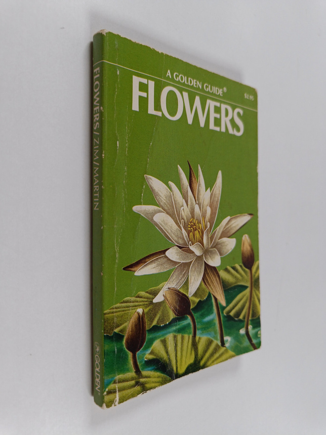 Alexander Campbell Martin ym. : Flowers - A Guide to Fami...