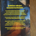 Veronica Francon syntinen työ - pikkukuva 2