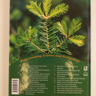 Papermaking science and technology, Book 16 - Paper physi... - pikkukuva 2