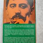 Proust Kadonnutta aikaa etsimässä Rouva Swannin ympärillä - pikkukuva 2
