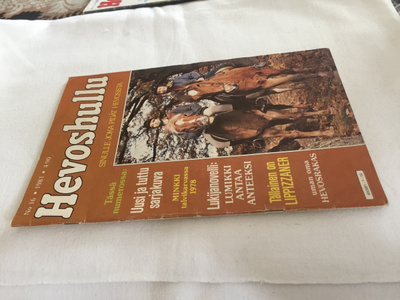 HEVOSHULLU 16/1981 HYVÄ