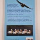 Paul Sterry : Birds of the Mediterranean - A photographic... - pikkukuva 2