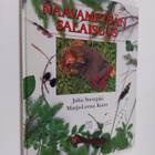 Juha Suonpää : Naavametsän salaisuus - pikkukuva 1