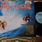 The JAN & DEAN Story - LP 1980 surf,rockabilly EX- - pikkukuva 1