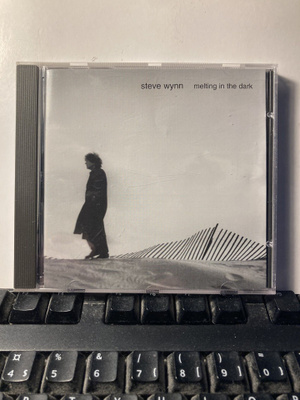 STEVE WYNN: Melting In The Dark, CD
