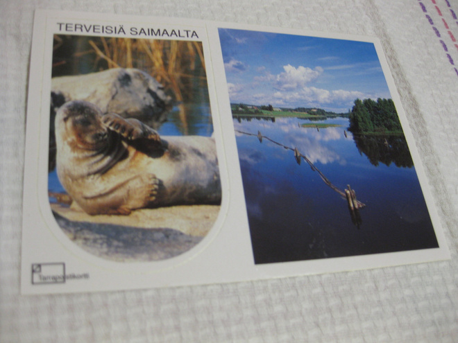 Terveisiä Saimaalta, tarrapostikortti, kulkematon