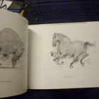 Olli Joki: Piirroksia - Teckningar drawings (Sis.postikulut) - pikkukuva 3