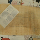 Egyptiläinen papyrus maalaus aitoustodistuksella - pikkukuva 2