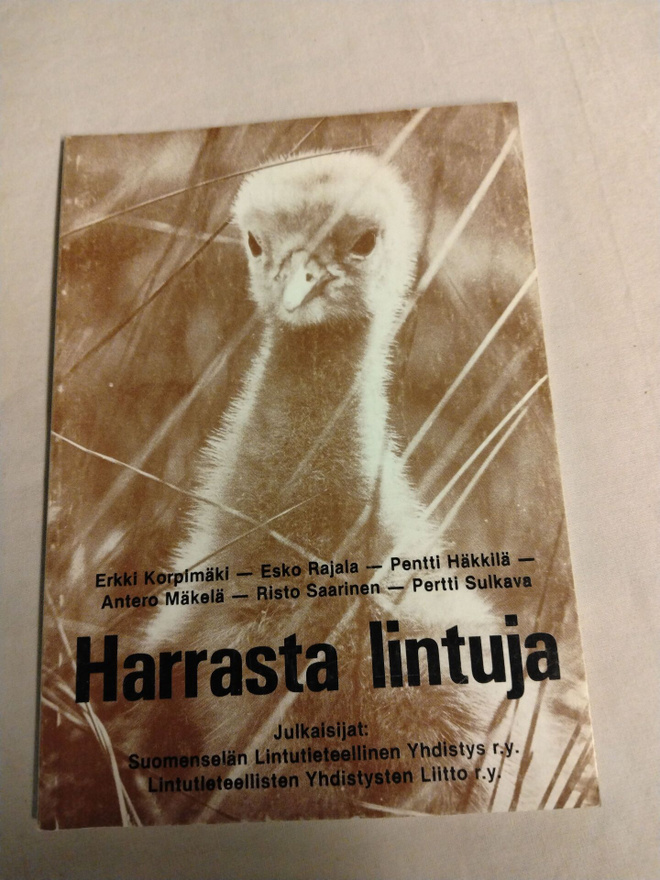 harrasta lintuja