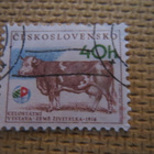 Tsekkoslovakia: kotieläimiä - pikkukuva 3