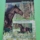 5 Hevos-aiheista postikorttia kerralla! - pikkukuva 4