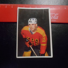 K15 Jenkki Jääkiekko-sarja  # 105 Markku Pulli Koo-Vee - pikkukuva 1