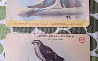 Neekerioika kahvilappuja
