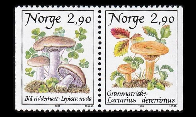 Norja 990-1p ** Sieniä (1988)