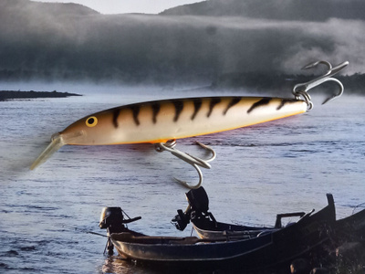 Rapala magnum 14