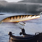Rapala magnum 14 - pikkukuva 1
