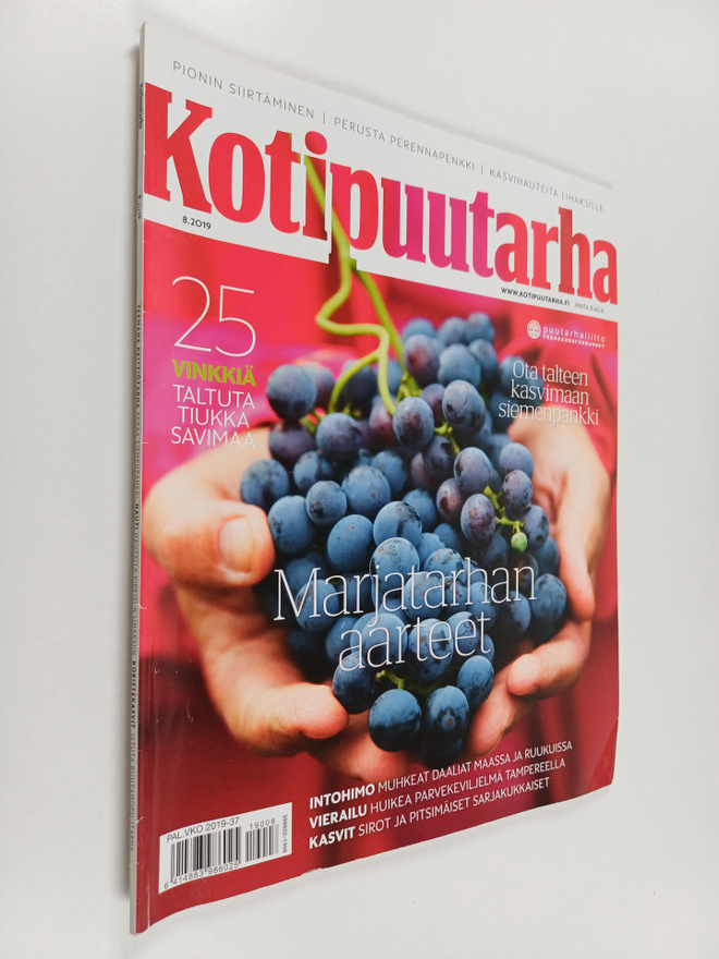 Kotipuutarha 8/2019