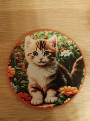 Kissa jääkaappi magneetti.