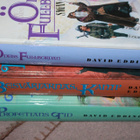 David Eddings - Sagan om Belgarion osat 2, 3, ja 5 - pikkukuva 5