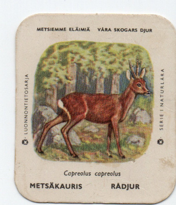 Kahvilappu METSÄKAURIS Isompi kuvakoko
