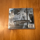 Chris Cornell euphoria morning CD - pikkukuva 2